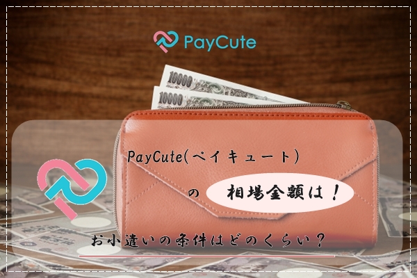 PayCute(ペイキュート)　相場　金額　お小遣い　条件